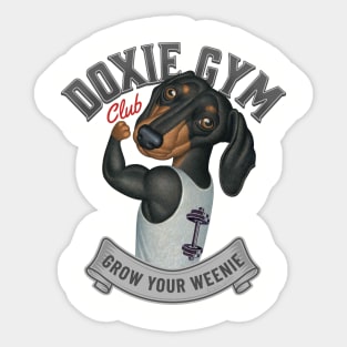 Cute Doxie Dog going to Doxie Gym in Gray trim Sticker